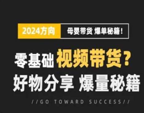 短视频母婴赛道实操流量训练营，零基础视频带货，好物分享，爆量秘籍网创吧-网创项目资源站-副业项目-创业项目-搞钱项目网创吧