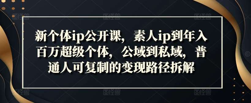 新个体ip公开课，素人ip到年入百万超级个体，公域到私域，普通人可复制的变现路径拆解网创吧-网创项目资源站-副业项目-创业项目-搞钱项目网创吧