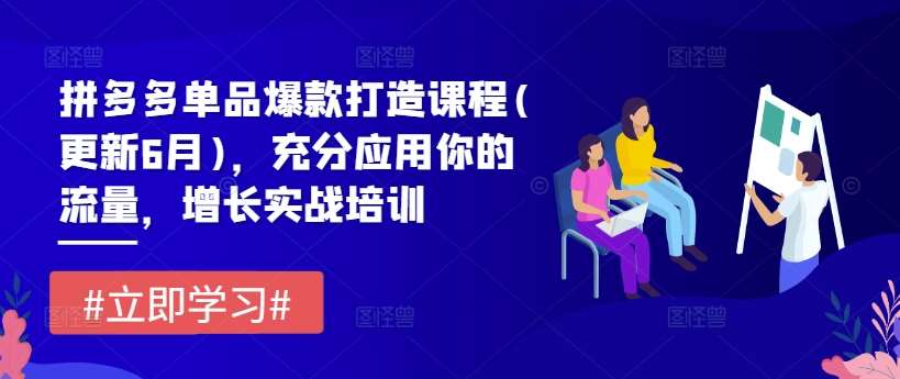 拼多多单品爆款打造课程(更新6月)，充分应用你的流量，增长实战培训网创吧-网创项目资源站-副业项目-创业项目-搞钱项目网创吧