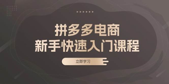 （13289期）拼多多电商新手快速入门课程：涵盖基础、实战与选款，助力小白轻松上手网创吧-网创项目资源站-副业项目-创业项目-搞钱项目网创吧