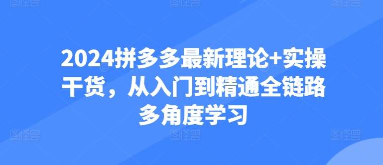 2024拼多多最新理论+实操干货，从入门到精通全链路多角度学习网创吧-网创项目资源站-副业项目-创业项目-搞钱项目网创吧