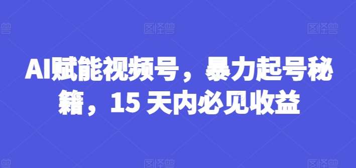 AI赋能视频号，暴力起号秘籍，15 天内必见收益【揭秘】网创吧-网创项目资源站-副业项目-创业项目-搞钱项目网创吧