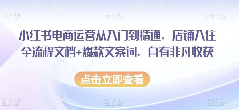 小红书电商运营从入门到精通，店铺入住全流程文档+爆款文案词，自有非凡收获网创吧-网创项目资源站-副业项目-创业项目-搞钱项目网创吧