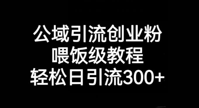公域引流创业粉，喂饭级教程，轻松日引流300+【揭秘】网创吧-网创项目资源站-副业项目-创业项目-搞钱项目网创吧