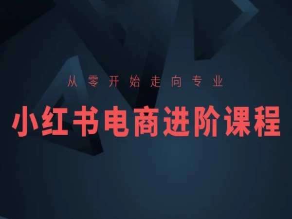 从零开始走向专业，小红书电商进阶课程网创吧-网创项目资源站-副业项目-创业项目-搞钱项目网创吧