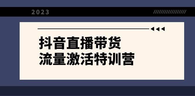 （8185期）抖音直播带货-流量激活特训营，入行新手小白主播必学（21节课+资料）网创吧-网创项目资源站-副业项目-创业项目-搞钱项目网创吧