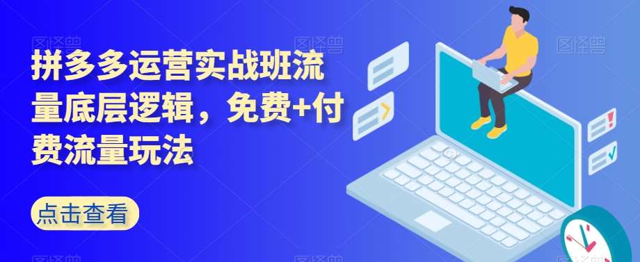 拼多多运营实战班流量底层逻辑，免费+付费流量玩法网创吧-网创项目资源站-副业项目-创业项目-搞钱项目网创吧