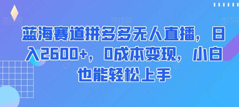 蓝海赛道拼多多无人直播，日入2600+，0成本变现，小白也能轻松上手【揭秘】网创吧-网创项目资源站-副业项目-创业项目-搞钱项目网创吧