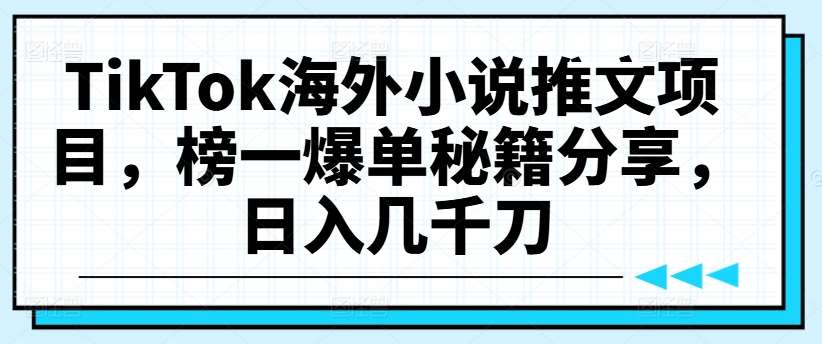 TikTok海外小说推文项目，榜一爆单秘籍分享，日入几千刀网创吧-网创项目资源站-副业项目-创业项目-搞钱项目网创吧