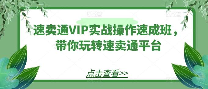 速卖通VIP实战操作速成班，带你玩转速卖通平台网创吧-网创项目资源站-副业项目-创业项目-搞钱项目网创吧