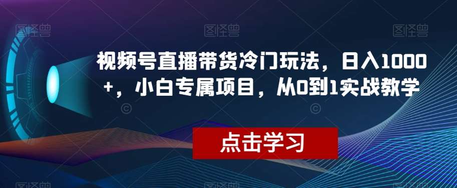 视频号直播带货冷门玩法,日入1000+,小白专属项目,从0到1实战教学【揭秘】网创吧-网创项目资源站-副业项目-创业项目-搞钱项目网创吧