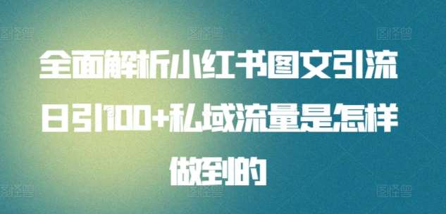 全面解析小红书图文引流日引100+私域流量是怎样做到的【揭秘】网创吧-网创项目资源站-副业项目-创业项目-搞钱项目网创吧