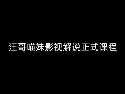 汪哥影视解说正式课程：剪映/PR教学/视解说剪辑5大黄金法则/全流程剪辑7把利器等等网创吧-网创项目资源站-副业项目-创业项目-搞钱项目网创吧