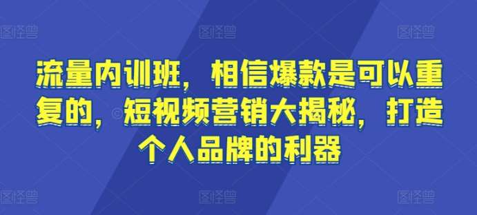 流量内训班，相信爆款是可以重复的，短视频营销大揭秘，打造个人品牌的利器网创吧-网创项目资源站-副业项目-创业项目-搞钱项目网创吧