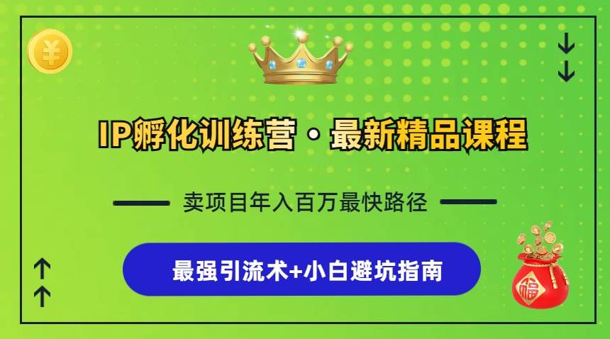 （13055期）IP孵化训练营，知识付费全流程+最强引流术+小白避坑指南网创吧-网创项目资源站-副业项目-创业项目-搞钱项目网创吧
