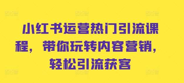 小红书运营热门引流课程，带你玩转内容营销，轻松引流获客网创吧-网创项目资源站-副业项目-创业项目-搞钱项目网创吧