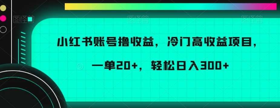小红书账号撸收益，冷门高收益项目，一单20+，轻松日入300+【揭秘】网创吧-网创项目资源站-副业项目-创业项目-搞钱项目网创吧