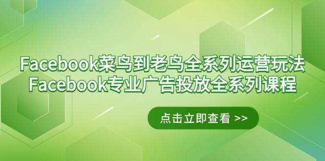 （9064期）Facebook-菜鸟到老鸟全系列运营玩法+Facebook-专业广告投放全系列课程网创吧-网创项目资源站-副业项目-创业项目-搞钱项目网创吧