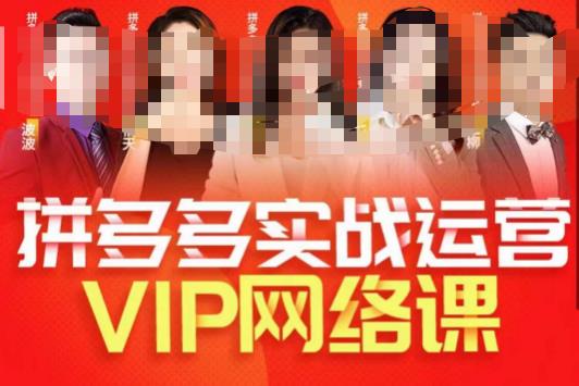 推易拼多多VIP全套直播课程，拼多多店铺实操玩法+实战玩法选款内功+直通车高阶等网创吧-网创项目资源站-副业项目-创业项目-搞钱项目网创吧