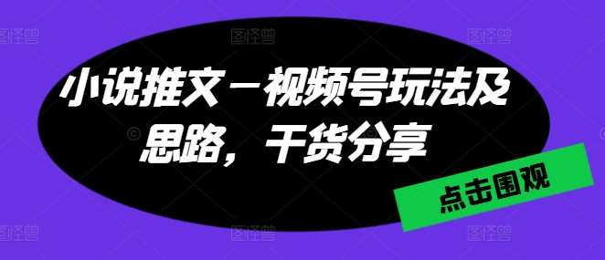 小说推文—视频号玩法及思路，干货分享网创吧-网创项目资源站-副业项目-创业项目-搞钱项目网创吧