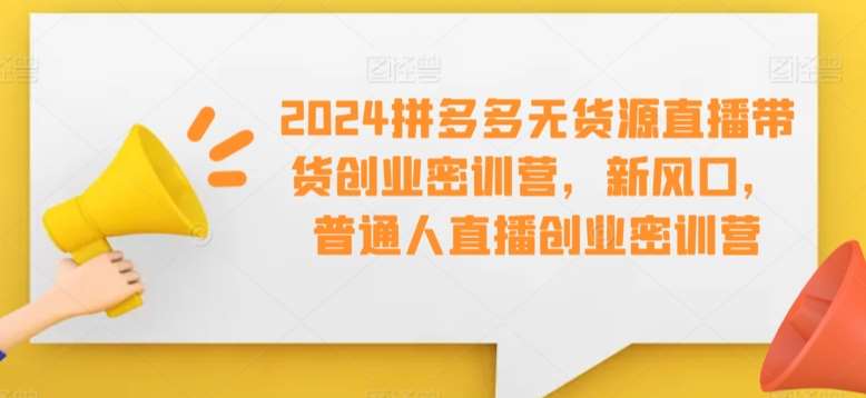 2024拼多多无货源直播带货创业密训营，新风口，普通人直播创业密训营网创吧-网创项目资源站-副业项目-创业项目-搞钱项目网创吧