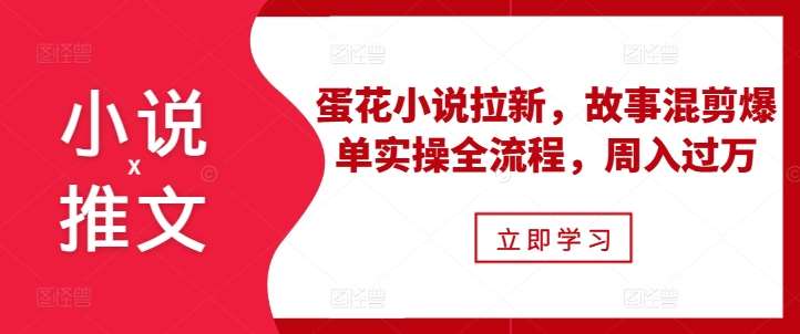 小说推文之蛋花小说拉新，故事混剪爆单实操全流程，周入过万网创吧-网创项目资源站-副业项目-创业项目-搞钱项目网创吧