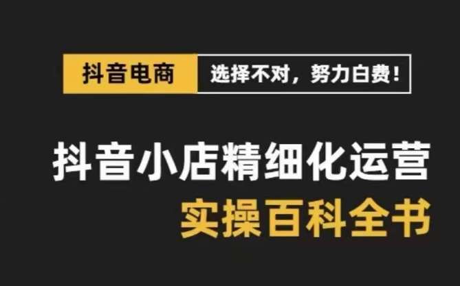 抖音小店精细化运营百科全书，保姆级运营实操讲解网创吧-网创项目资源站-副业项目-创业项目-搞钱项目网创吧