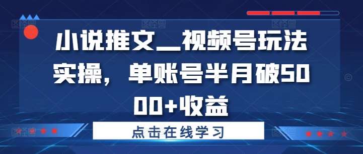 小说推文—视频号玩法实操，单账号半月破5000+收益网创吧-网创项目资源站-副业项目-创业项目-搞钱项目网创吧