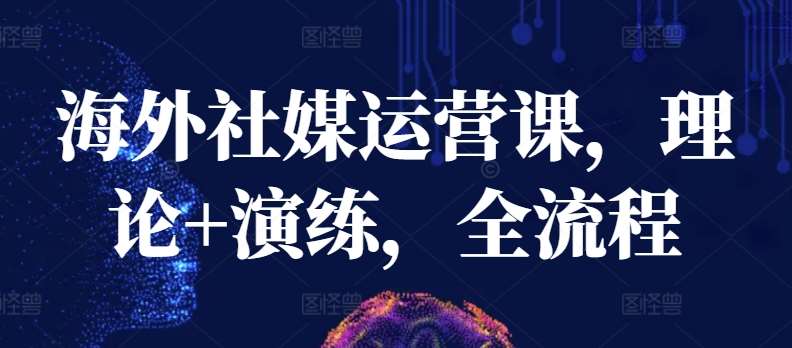 海外社媒运营课，理论+演练，全流程网创吧-网创项目资源站-副业项目-创业项目-搞钱项目网创吧