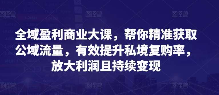 全域盈利商业大课，帮你精准获取公域流量，有效提升私境复购率，放大利润且持续变现网创吧-网创项目资源站-副业项目-创业项目-搞钱项目网创吧