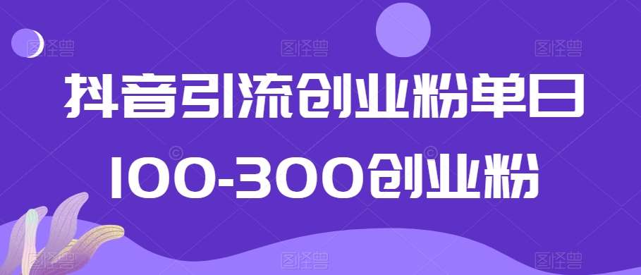 抖音引流创业粉单日100-300创业粉【揭秘】网创吧-网创项目资源站-副业项目-创业项目-搞钱项目网创吧