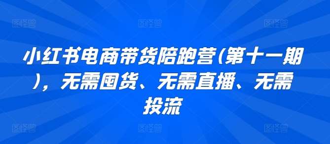 小红书电商带货陪跑营(第十一期)，无需囤货、无需直播、无需投流网创吧-网创项目资源站-副业项目-创业项目-搞钱项目网创吧