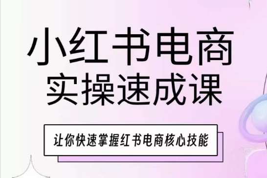 小红书电商实操速成课，让你快速掌握红书电商核心技能网创吧-网创项目资源站-副业项目-创业项目-搞钱项目网创吧
