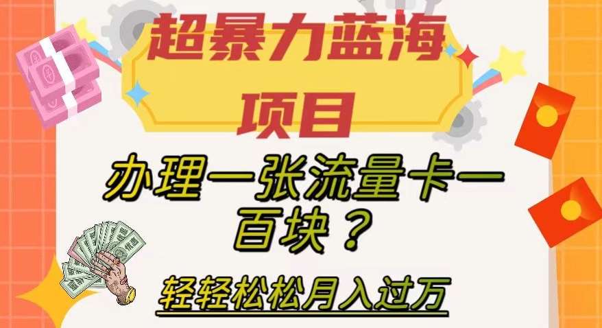 超暴力蓝海项目，办理一张流量卡一百块？轻轻松松月入过万，保姆级教程【揭秘】网创吧-网创项目资源站-副业项目-创业项目-搞钱项目网创吧