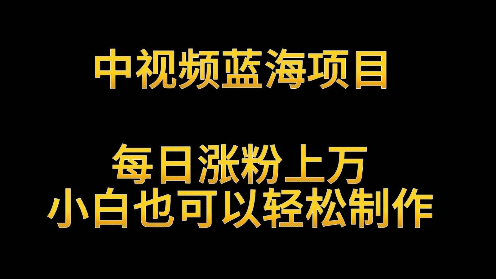 中视频蓝海项目，解读英雄人物生平，每日涨粉上万，小白也可以轻松制作，月入过万网创吧-网创项目资源站-副业项目-创业项目-搞钱项目网创吧