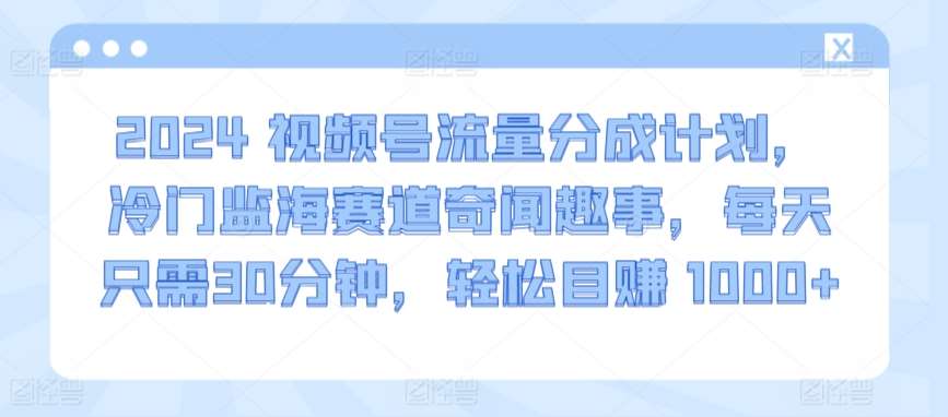 2024视频号流量分成计划，冷门监海赛道奇闻趣事，每天只需30分钟，轻松目赚 1000+【揭秘】网创吧-网创项目资源站-副业项目-创业项目-搞钱项目网创吧