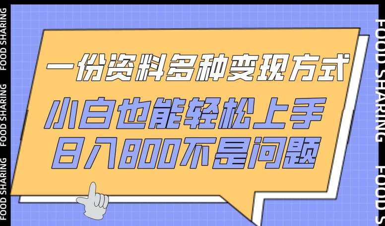 一份资料多种变现方式，小白也能轻松上手，日入800不是问题【揭秘】网创吧-网创项目资源站-副业项目-创业项目-搞钱项目网创吧