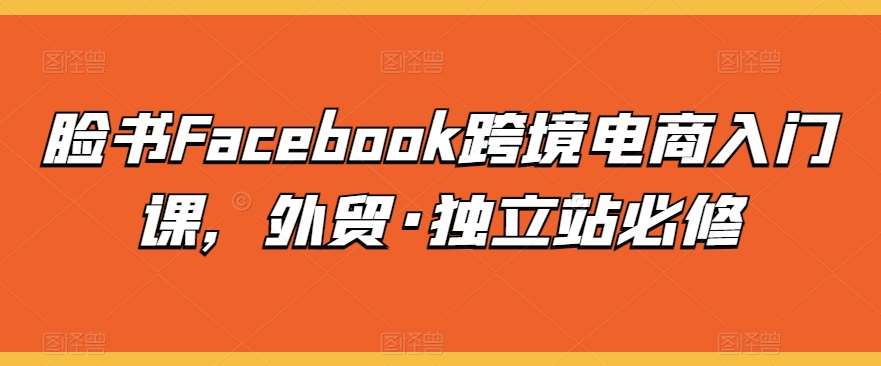 脸书Facebook跨境电商入门课，外贸·独立站必修网创吧-网创项目资源站-副业项目-创业项目-搞钱项目网创吧