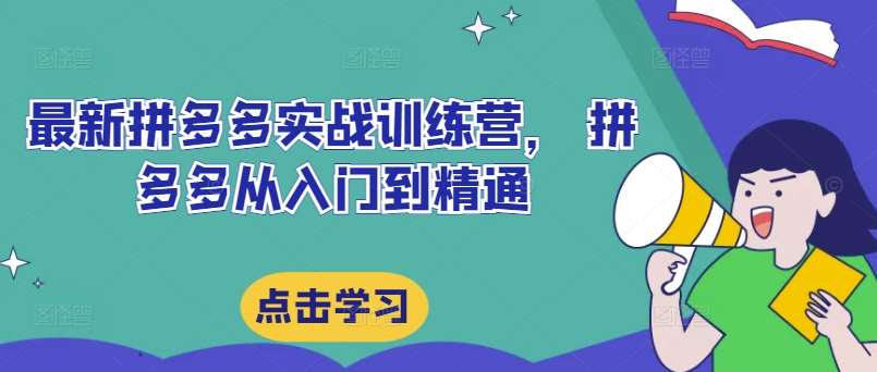 最新拼多多实战训练营， 拼多多从入门到精通网创吧-网创项目资源站-副业项目-创业项目-搞钱项目网创吧
