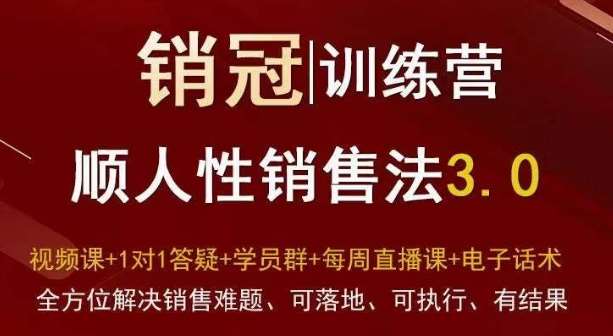 爆款！销冠训练营3.0之顺人性销售法，全方位解决销售难题、可落地、可执行、有结果网创吧-网创项目资源站-副业项目-创业项目-搞钱项目网创吧