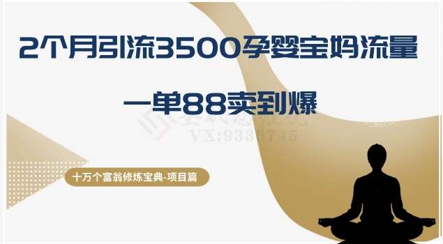 十万个富翁修炼宝典之13.2个月引流3500孕婴宝妈流量，一单88卖到爆网创吧-网创项目资源站-副业项目-创业项目-搞钱项目网创吧