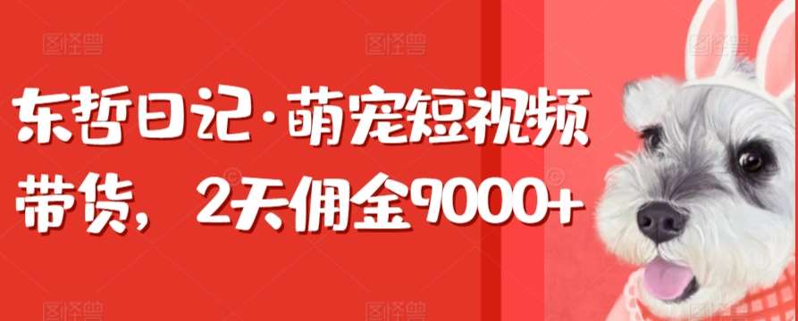 东哲日记·萌宠短视频带货，2天佣金9000+网创吧-网创项目资源站-副业项目-创业项目-搞钱项目网创吧