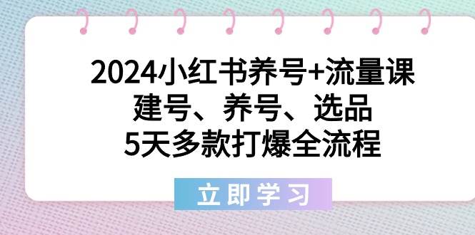 （8974期）2024小红书养号+流量课：建号、养号、选品，5天多款打爆全流程网创吧-网创项目资源站-副业项目-创业项目-搞钱项目网创吧