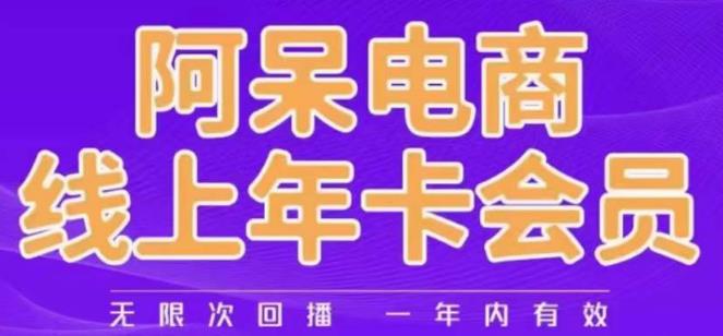 阿呆电商线上年会员，阿呆电商干货分享（更新中）网创吧-网创项目资源站-副业项目-创业项目-搞钱项目网创吧