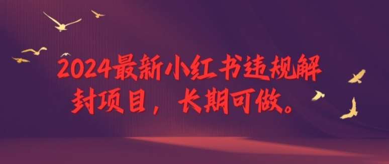 2024最新小红书违规解封项目，长期可做，一个可以做到退休的项目【揭秘】网创吧-网创项目资源站-副业项目-创业项目-搞钱项目网创吧