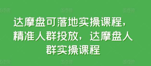 达摩盘可落地实操课程，精准人群投放，达摩盘人群实操课程网创吧-网创项目资源站-副业项目-创业项目-搞钱项目网创吧