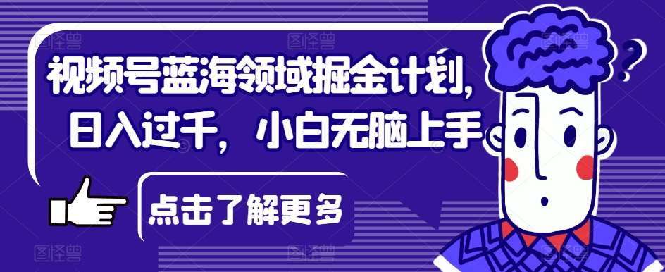 视频号蓝海领域掘金计划，日入过千，小白无脑上手【揭秘】网创吧-网创项目资源站-副业项目-创业项目-搞钱项目网创吧