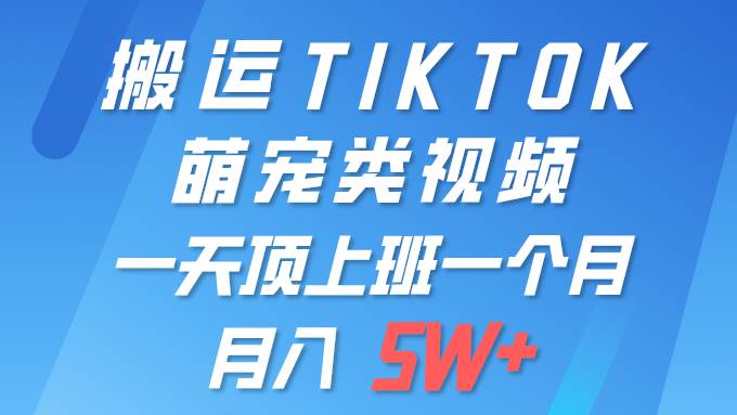 （9931期）一键搬运TIKTOK萌宠类视频 一部手机即可操作 所有平台均可发布 轻松月入5W+网创吧-网创项目资源站-副业项目-创业项目-搞钱项目网创吧