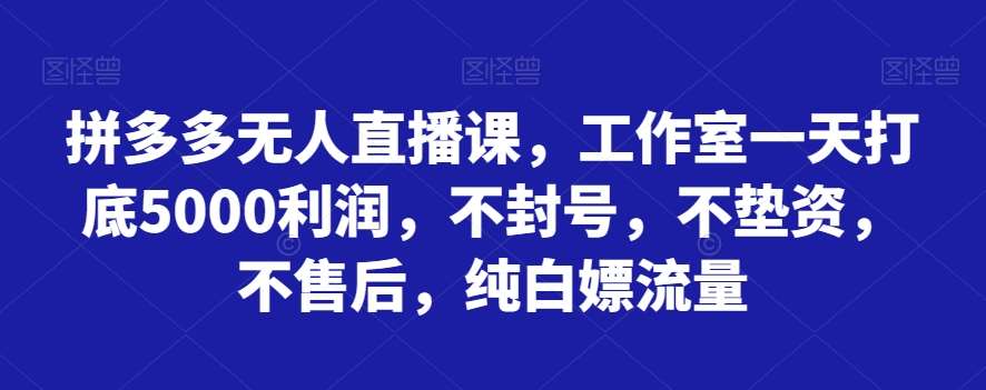 拼多多无人直播课，工作室一天打底5000利润，不封号，不垫资，不售后，纯白嫖流量网创吧-网创项目资源站-副业项目-创业项目-搞钱项目网创吧