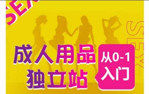成人用品独立站从0-1入门，成品独立站运营全流程教学，七大好卖成品独立站推荐网创吧-网创项目资源站-副业项目-创业项目-搞钱项目网创吧